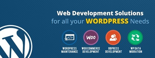 Best WordPress Development Services