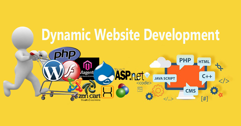 dynamic web development company rajkot, india, uk, usa, canada, africa, dubai, abu dhabi, texas, kuwait